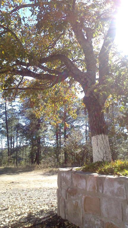Cabanas Santa Isabel Βίλα Refugio Δωμάτιο φωτογραφία